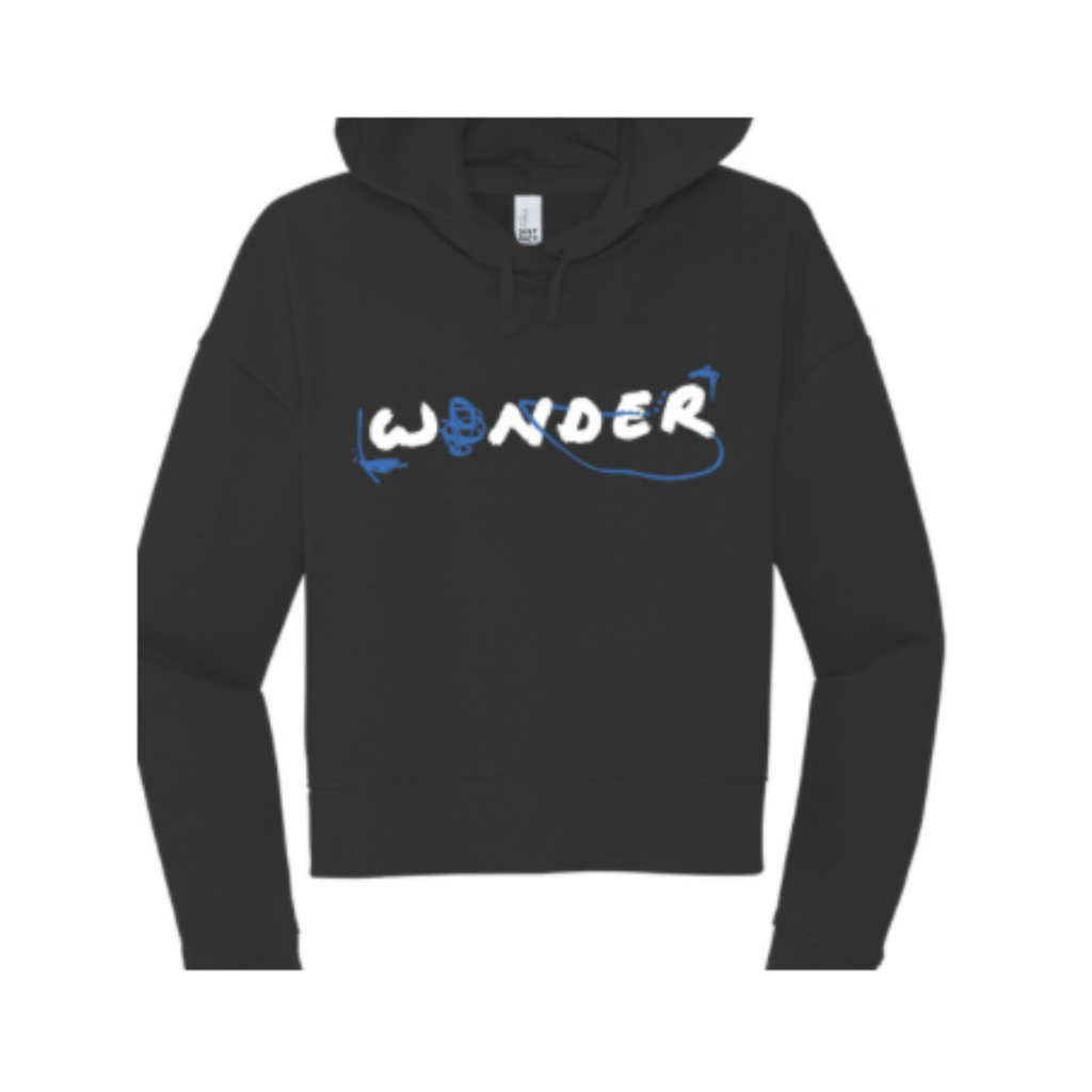 Wear Your Word Cropped Hoodie
