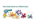 Every Flower Blooms at a Different Pace by Alan Gao