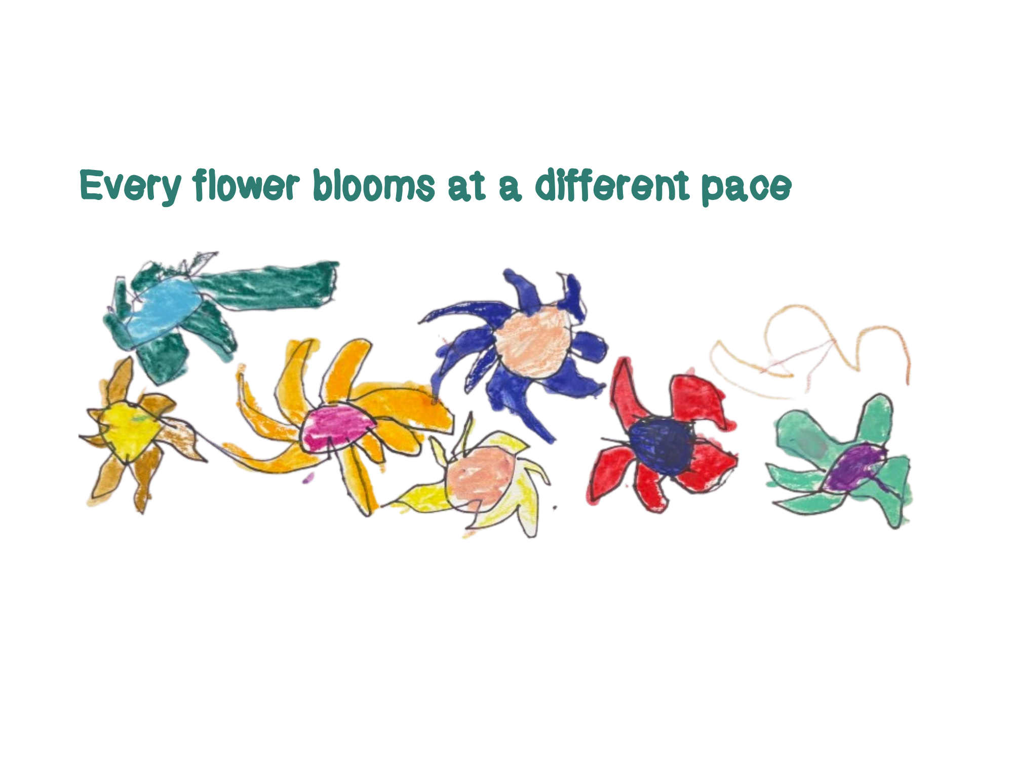 Every Flower Blooms at a Different Pace by Alan Gao
