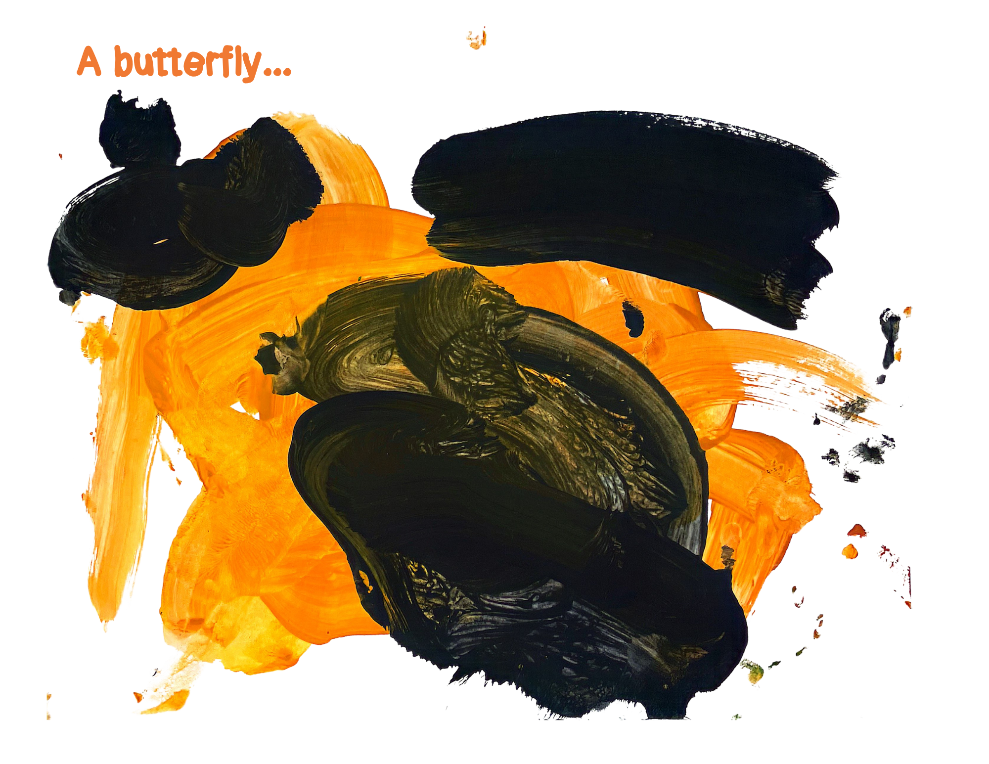 A Butterfly by Julia Motta