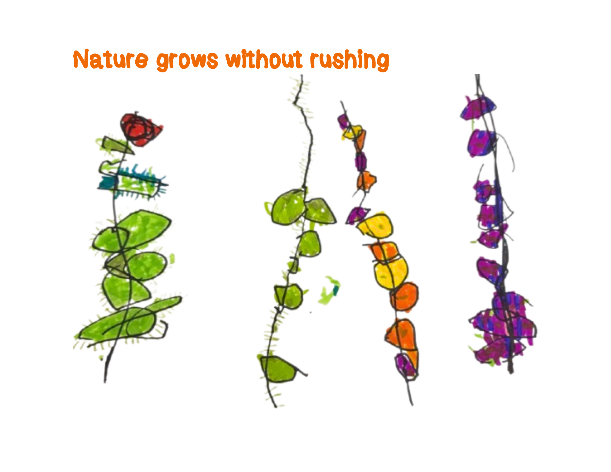 Nature Grows Without Rushing by Luca Trabold