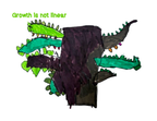 Growth is Not Linear by Reef Ramirez